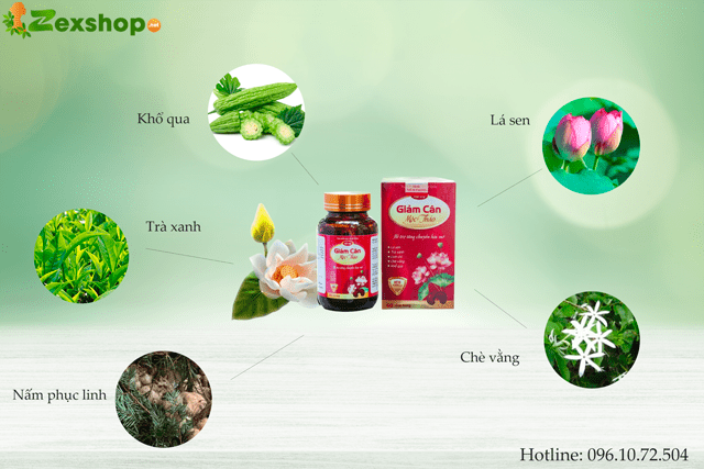 thành phần mộc thảo