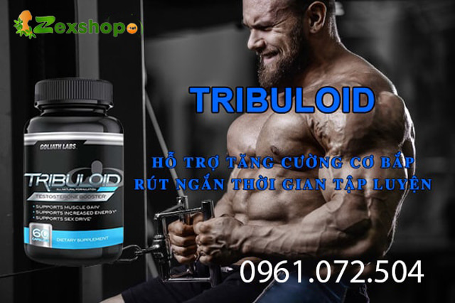 giới thiệu Tribuloid