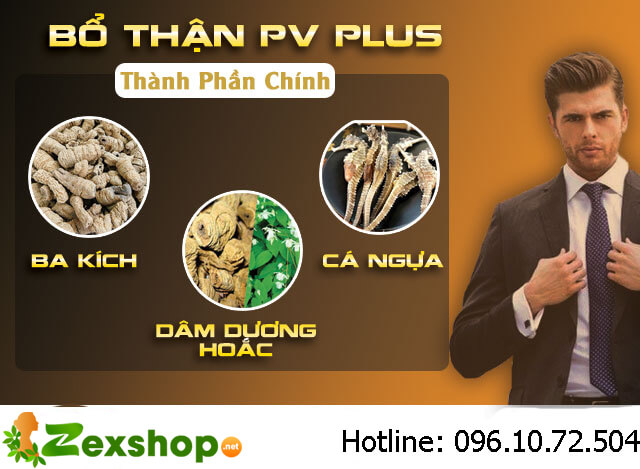 thành phần bổ thận pv plus