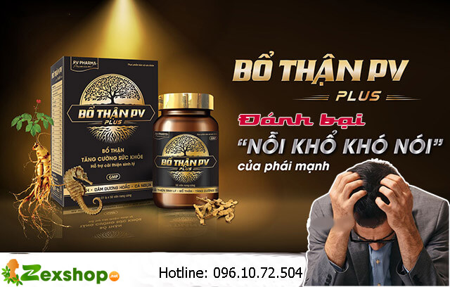 giới thiệu bổ thận pv plus