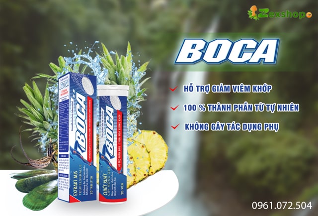 giới thiệu viên sủi Boca