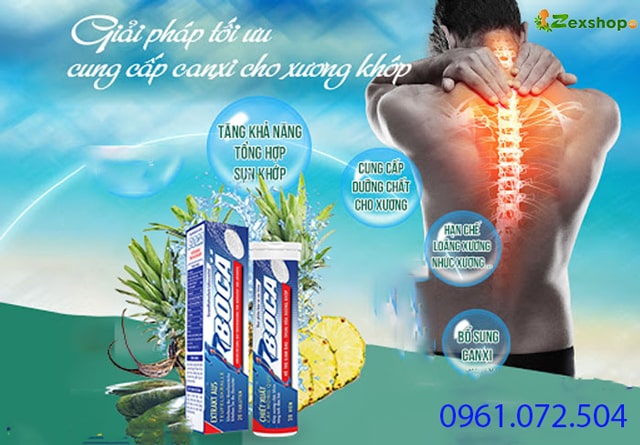 hướng dẫn sử dụng Boca