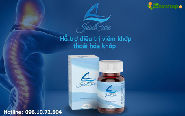 giới thiệu joint cure