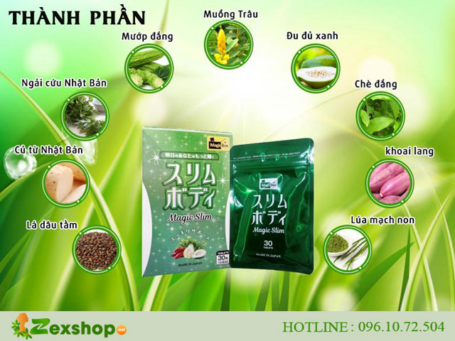 thành phần viên uống magic slim