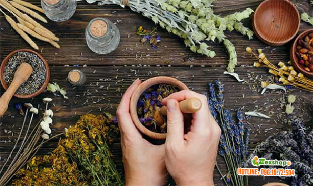 Thuốc nam chữa xuất tinh sớm